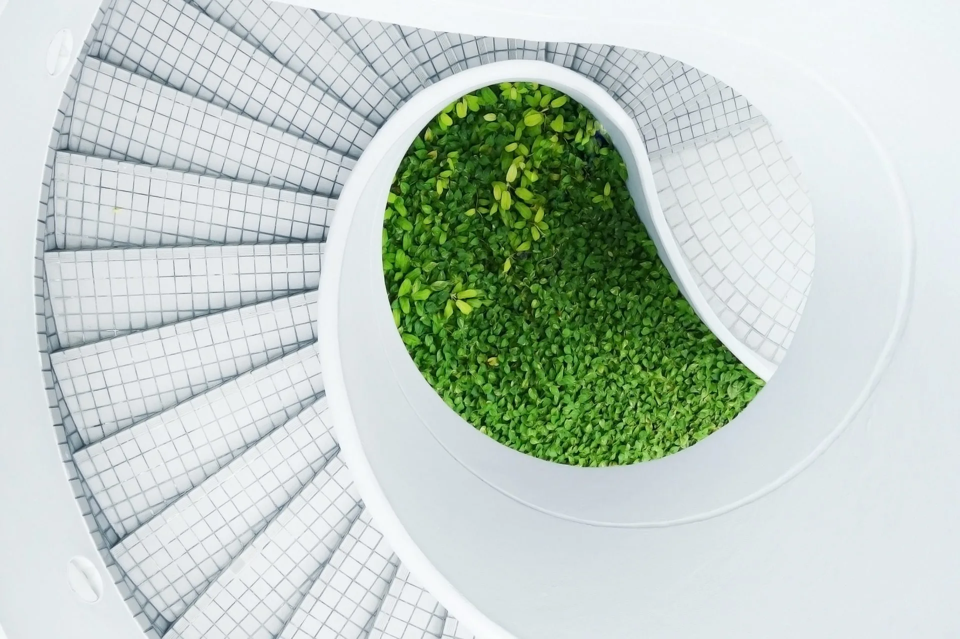 Economia circolare con UpKeep The World